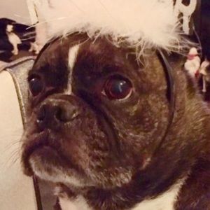 Meet your Posher, Kathleen